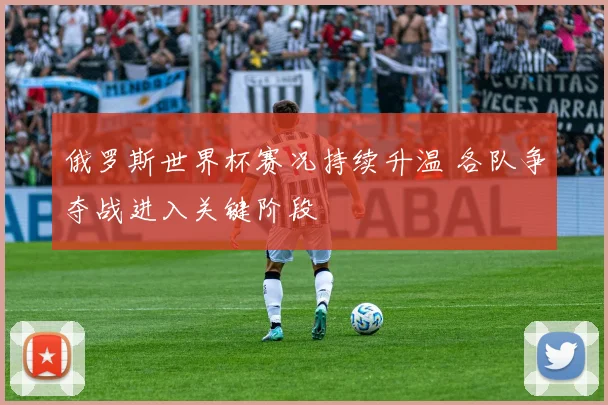 俄罗斯世界杯赛况持续升温 各队争夺战进入关键阶段